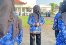 Pakar UGM: Krisis Gaji PPPK Cermin Lemahnya Perencanaan Fiskal