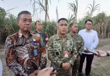 Dukung Ketahanan Pangan Nasional, Lanud Adisutjipto Sukses Lakukan Panen Tebu
