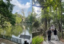 Wisdom Park UGM Jadi Destinasi Favorit Jogging Masyarakat Yogyakarta