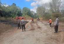 Diduga Gegara Puntung Rokok, Lahan Kosong di Piyungan Terbakar