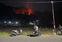 Dua Kawasan Perbukitan Imogiri Terbakar, Delapan Hektare Lahan Terdampak