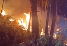 Damkarmat Gunungkidul Catat 18 Kebakaran Hutan Lahan hingga Juli 2026