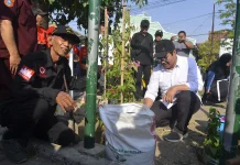 Peringati Hari Sungai Nasional 2026, Hasto Wardoyo Tanam Bibit Air Mata Pengantin