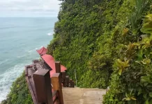 Puncak Segoro Miliki Panorama Laut Spektakuler Berlatar Tebing Gunungkidul