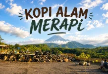 Kopi Alam Merapi Sajikan Panorama Gunung Memukau Bagi Wisatawan