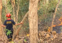 Kebakaran Lahan Kembali Terjadi di Imogiri, 300 Meter Persegi Tanah SG Terdampak