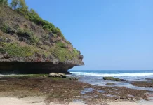 Pantai Ngluwen, Surga Pencari Rumput Laut di Musim Kemarau