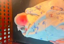 Warga Semin Gunungkidul Ditemukan Bayi Laki-Laki di dalam Tas