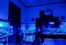Studio Terumbu Karang Yogyakarta Kenalkan Konservasi Laut Melalui Akuakultur