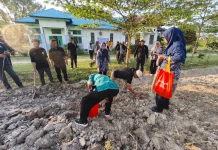Pakar UGM Dorong Inovasi Hijauan Pakan Demi Peternakan Mandiri