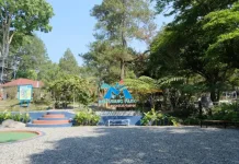 Keseruan Mountain Coaster di Kaliurang Park Botanical Garden Sleman