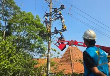 PLN Tuntaskan Pemeliharaan Jaringan Listrik di Gunungkidul