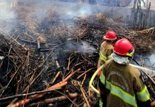 Kebakaran Lahan di Yogyakarta Meningkat, Damkarmat Imbau Tak Bakar Sampah