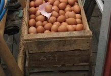 Hari Ini Telur Ayam Mengalami Kenaikan Harga di Pasar Imogiri