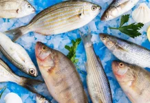 Kaya Omega-3, Ikan Laut Jadi Pilihan Protein Terbaik untuk Kesehatan