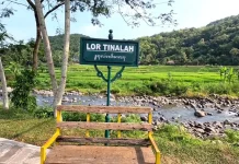 Sajikan Suasana Asri dan Kuliner Desa, Lor Tinalah Kulon Progo Pas Buat Kerapian Jiw