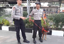Regulasi Disusun, Konsumsi Daging Anjing di Yogyakarta Bakal Dilarang