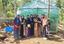 KWT Ngudi Rejeki Dorong Kemandirian Pangan di Kwarasan Kulon