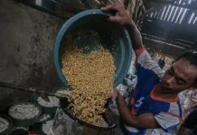Dosen UMBY Ungkap Bedanya Fermentasi Makanan dan Pembusukan Busuk