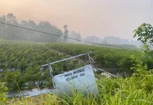 Ancaman El Nino Godzilla 2026, Pakar UGM Ingatkan Krisis Air dan Pangan
