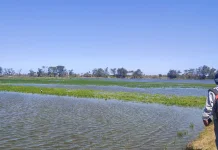 Gelombang Tinggi dan Muara Opak Buntu, Sawah Pesisir Selatan Bantul Tergenang