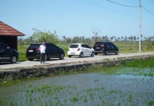 Muara Sungai Opak Buntu, Puluhan Hektar Sawah di Bantul Terendam