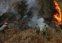 Kebakaran Bromo, Pakar Minta Usut Keterlibatan Manusia