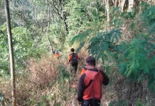 Seorang Kakek Dilaporkan Hilang saat Mencari Rumput di Hutan Pathuk Sleman