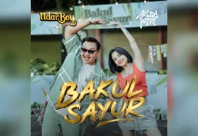 Lirik Lagu “Bakul Sayur” Ndarboy Genk