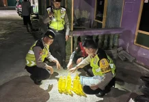 Razia di Sebelas Titik, Polres Bantul Amankan Ratusan Botol Miras Ilegal