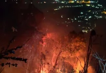 Kebakaran Lahan Melanda Perbukitan Seloharjo Bantul, 10 Hektare Terdampak