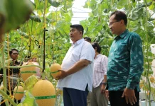 Bupati Kulon Progo Apresiasi Lumbung Mataraman di Giripeni