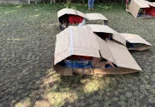 Keseruan Lomba Balap Kardus Trenggiling Anak TK di Yogyakarta