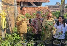Panen Raya Brambang Perdana Urban Farming di Atas Rooftop Warga Gemblakan