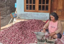 Bumbu Dapur Pengawet Alami dalam Pengolahan Makanan Steril Komersial