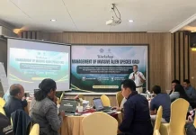 FKT UGM dan APAFRI Gelar Workshop Pengelolaan Spesies Invasif Merapi