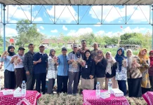 Bawang Merah Jadi Program Ketahanan Pangan Kalurahan Kepek