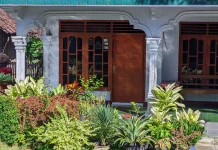 Jangan Lewatkan Tips Membuat Taman Mini di Lahan Rumah Sempit