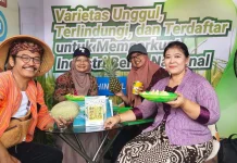 PVTPP Kementan Dorong Perlindungan Varietas Lokal dan Sertifikasi Benih Bermutu