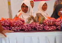 Geliat UMKM Bungkus Parangtritis saat Panen Bawang Merah