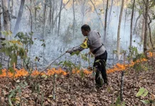 Kebakaran Lahan di Wukirsari, Petugas Cegah Api Meluas