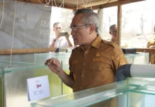Pemkab Bantul Kembangkan Budidaya Ikan Air Payau di Pesisir Sanden