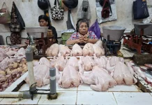 Harga Ayam Melejit, Pedagang Beringharjo Keluhkan Sepinya Pembeli