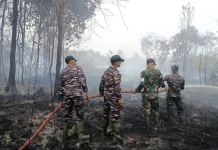 Kabut Asap Karhutla Merambah Negara Tetangga, Rawan Gugatan Antar Negara