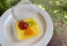 Resep Puding Srikaya, Perpaduan Manis Buah dan Gurih Susu