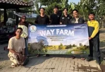 Mahasiswa UGM Ciptakan Mesin FEMIXA Olah Limbah Pakan Kacang Hijau