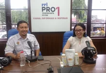Inovasi UMKM dan Dukungan Pemerintah Daerah