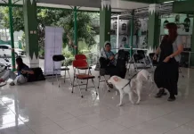 Cegah Penyakit Rabies, Puluhan Hewan di Kelurahan Keparakan Disasar Vaksinasi
