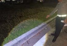 Tabrak Truk dari Belakang, Seorang Lansia Meninggal dunia di Lokasi Kecelakaan