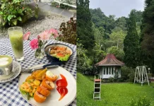 Rumah Rasa Kaliurang Tawarkan Ngopi Adem Bernuansa Taman